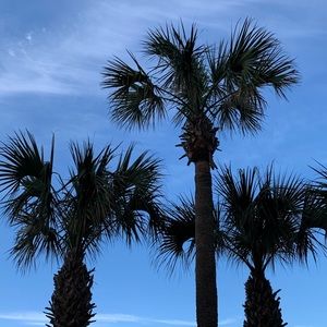 Meet your Posher, Tracey